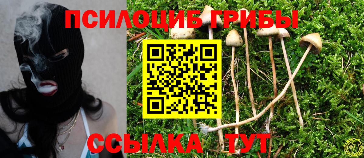 Конаково  Галлюциногенные грибы Psilocybine cubensis  продажа наркотиков  Вход с VPN 